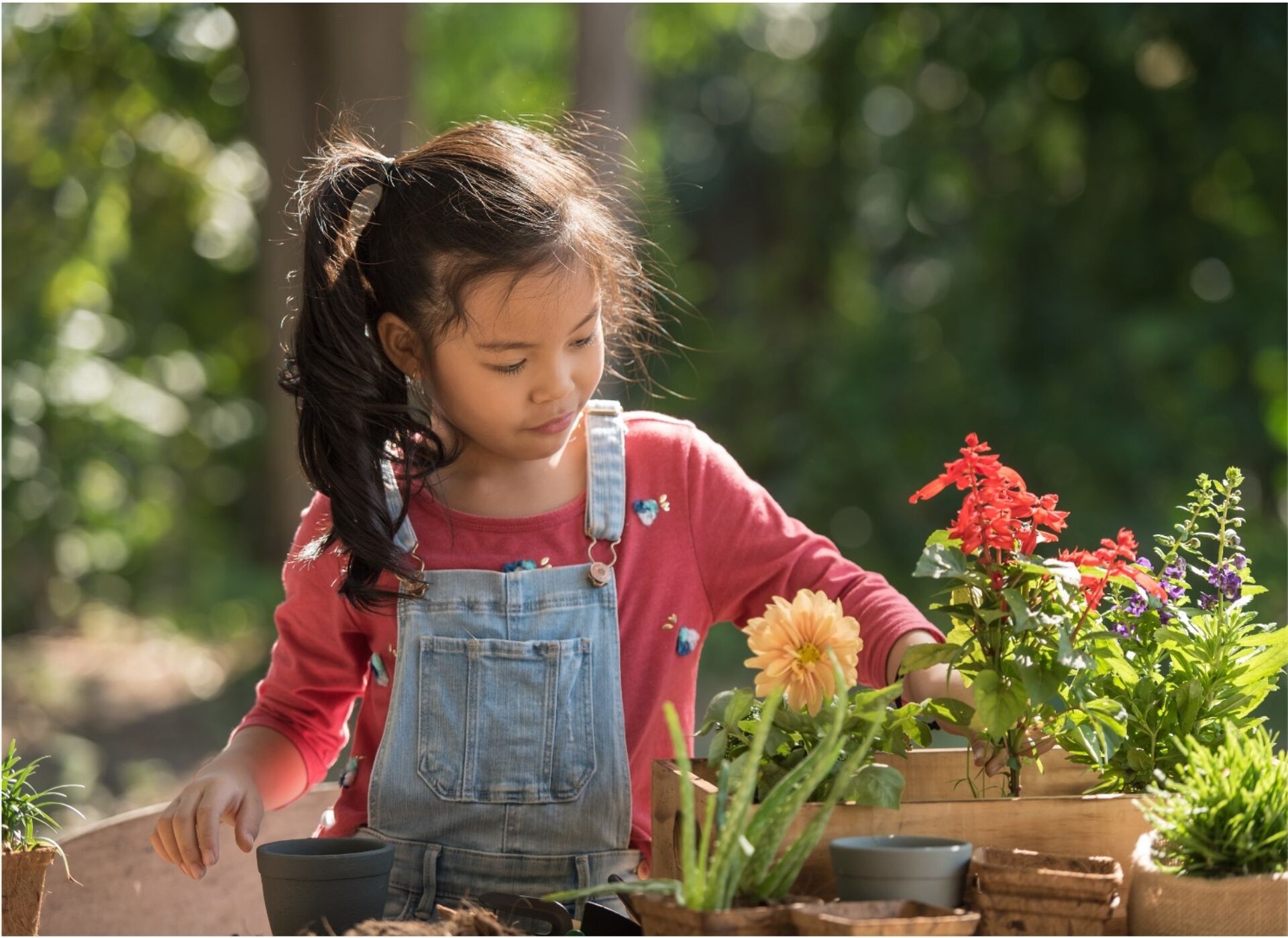 Young child potting flowers